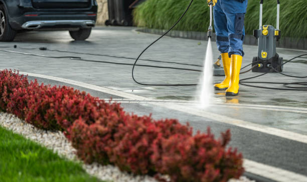 Best Local Pressure Washing Services  in Braddock Hills, PA